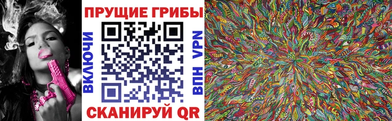 где найти   Гдов  Галлюциногенные грибы Cubensis 
